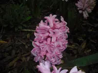 april 138.webp