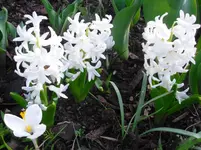 april 089.webp