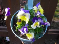 april 030.webp