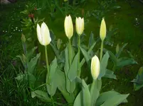 april 134.webp