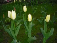 april 136.webp