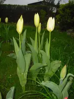 april 141.webp