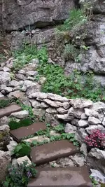 Treppe.webp