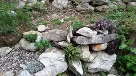 Trockenmauer.webp