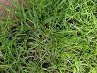 IMG_0067.webp