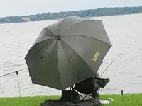 148.webp