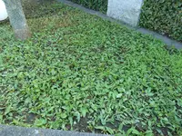 P1040852.webp
