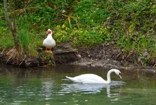 DSC_0060.webp