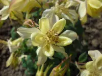 SAM_3485.webp