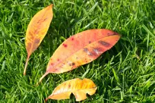 _IGP9221.webp
