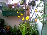 Bild 2 April.webp