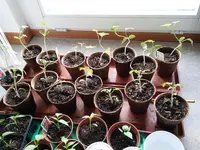 20140412_174815.webp