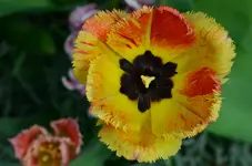 DSC_0001.webp