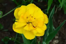 DSC_0002.webp