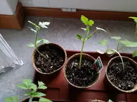 20140412_174848.webp
