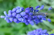 DSC_0004.webp