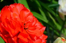 DSC_0010.webp