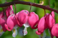 DSC_0013.webp
