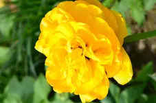 DSC_0015.webp