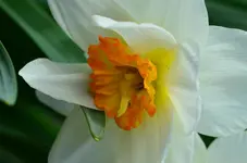 DSC_0023.webp