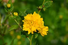 DSC_0026.webp