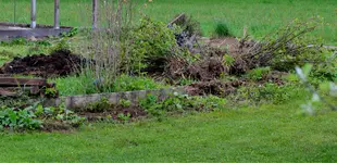 DSC_0046.webp