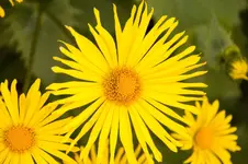 Ga 14-04-11-1679.webp