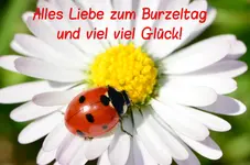 geburtstag.webp