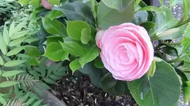 014.webp