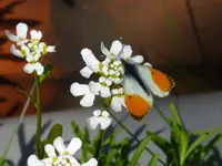 P1010489.webp