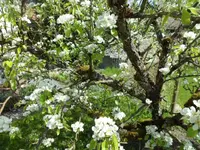 SAM_3502.webp