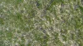 Grashaufen 1.webp