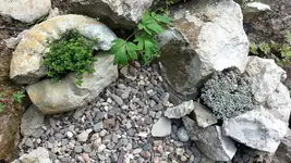 10259418_721770191177458_765350940_n.webp