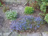 001.webp