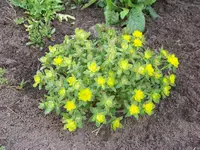 020.webp