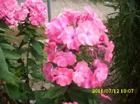 Sortieren 102.webp