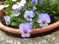 P1120108.webp