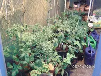 GWH Links.webp