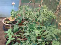 GWH rechts (5).webp