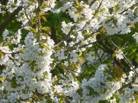 P1120116.webp