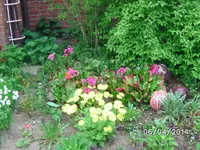 Vorgarten (2).webp