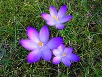039.webp