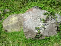 PICT0008.webp