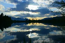 DSC_0117.webp