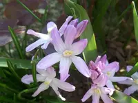 SAM_1276.webp