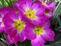 SAM_1314.webp
