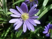 SAM_1324.webp