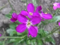 SAM_1325.webp