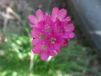 SAM_1326.webp