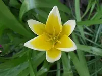 SAM_1323.webp